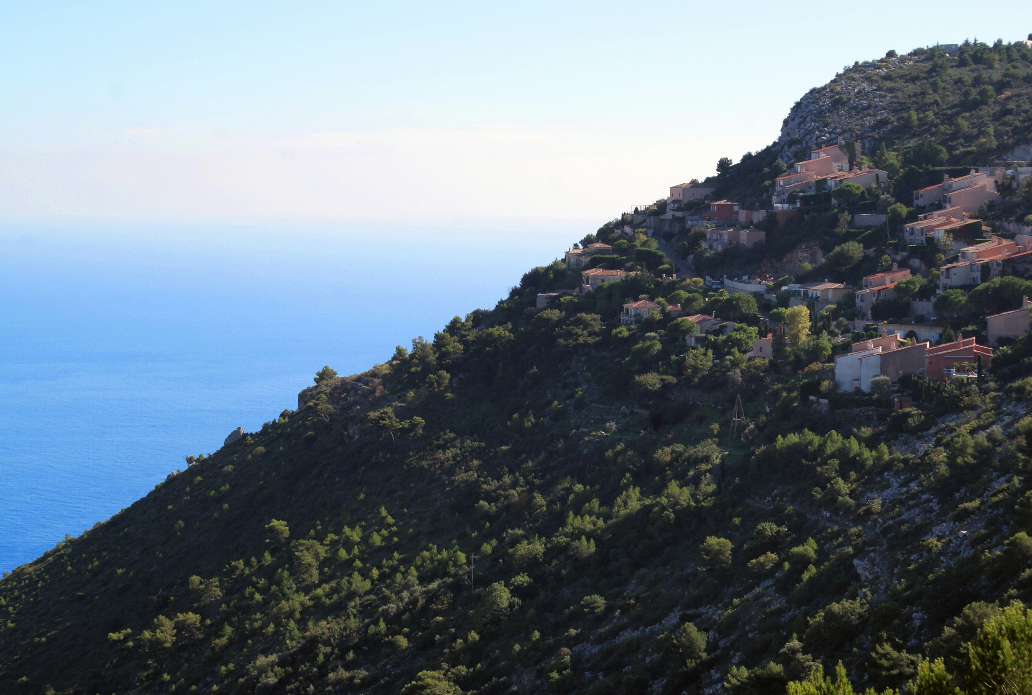 Photo by ricky_fresh