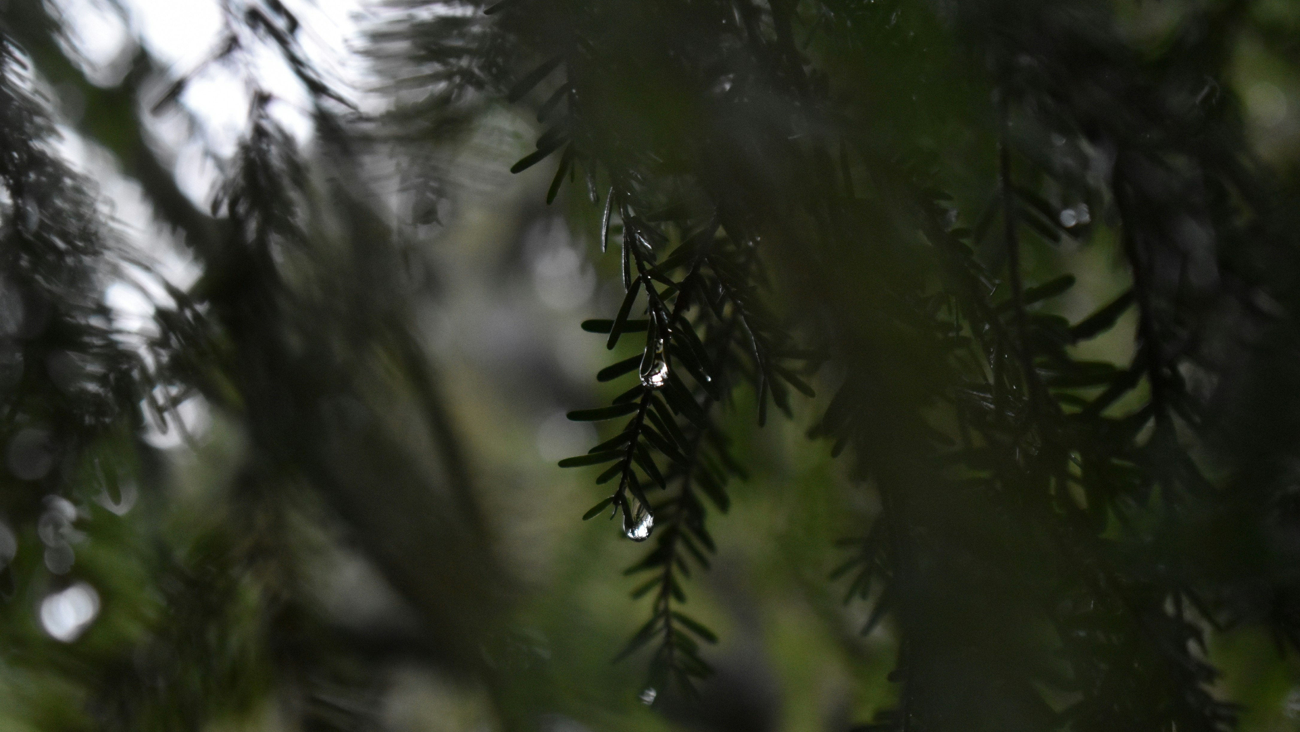 Customise football kit premier league