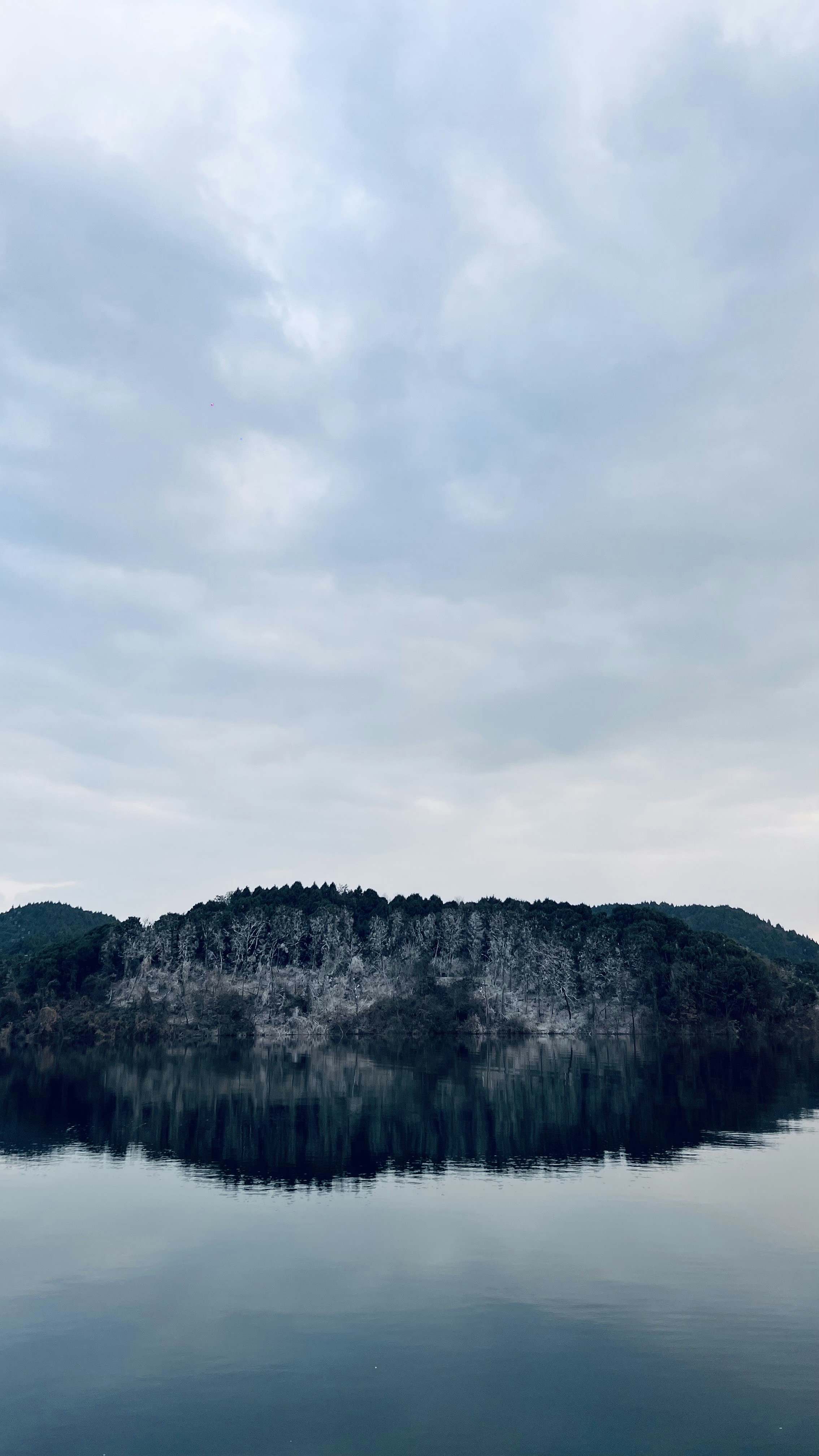 Photo by littletodd