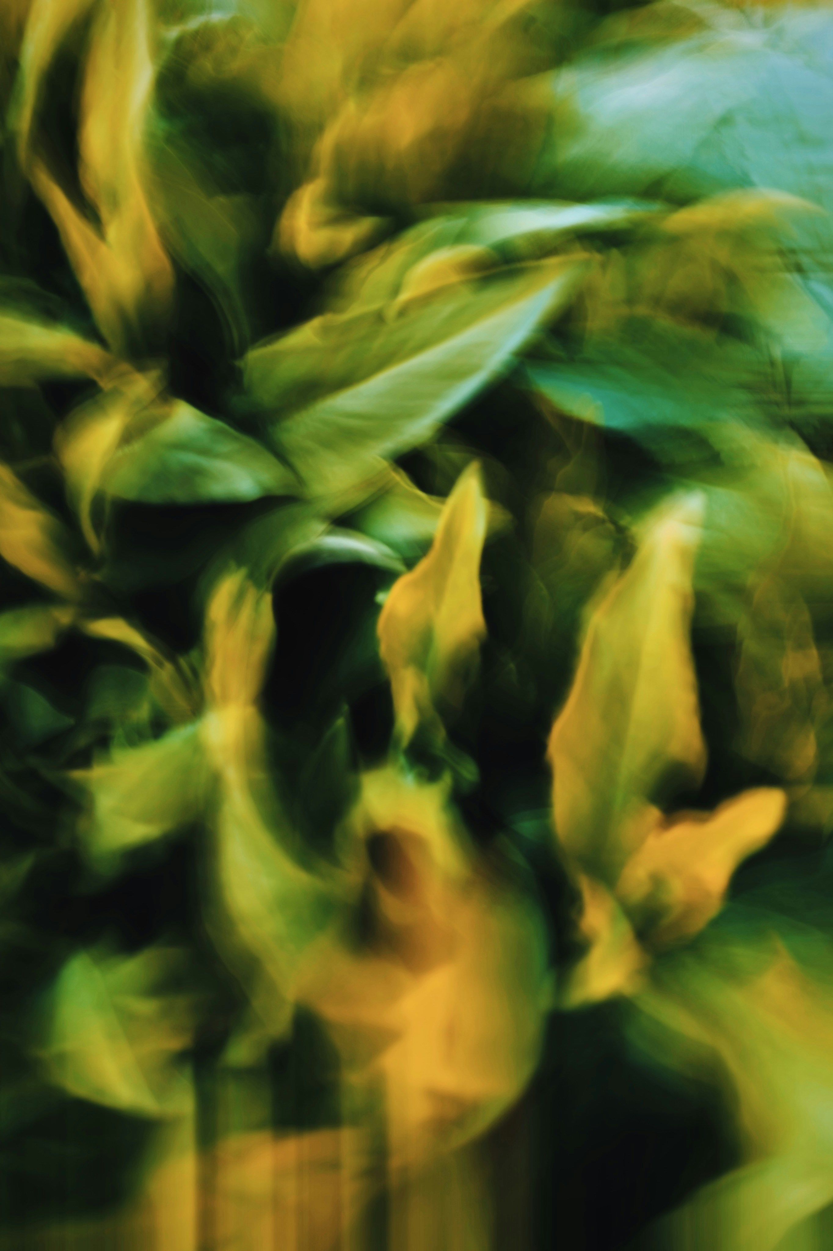 Photo by eugene_golovesov