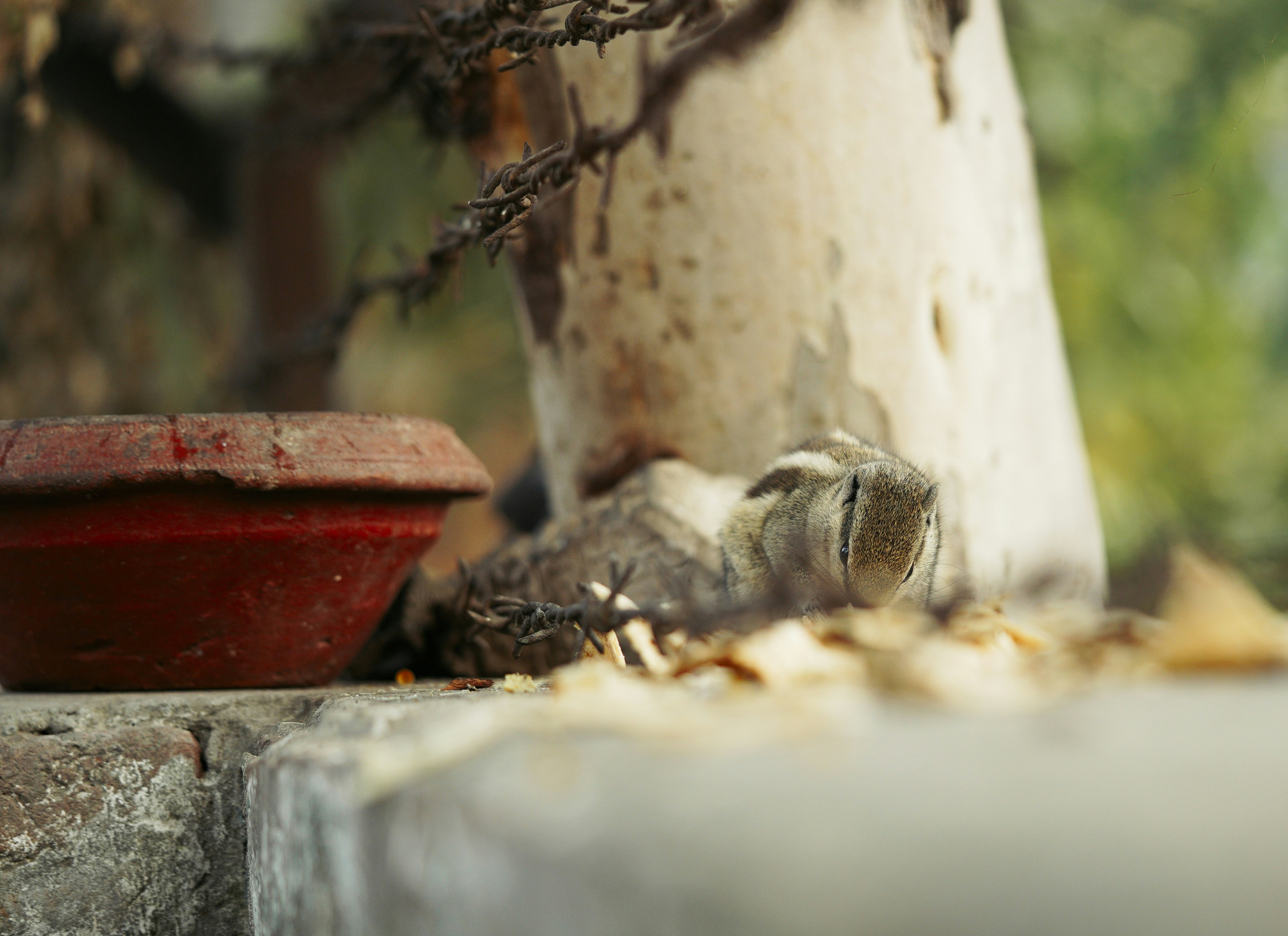 Photo by countingframez