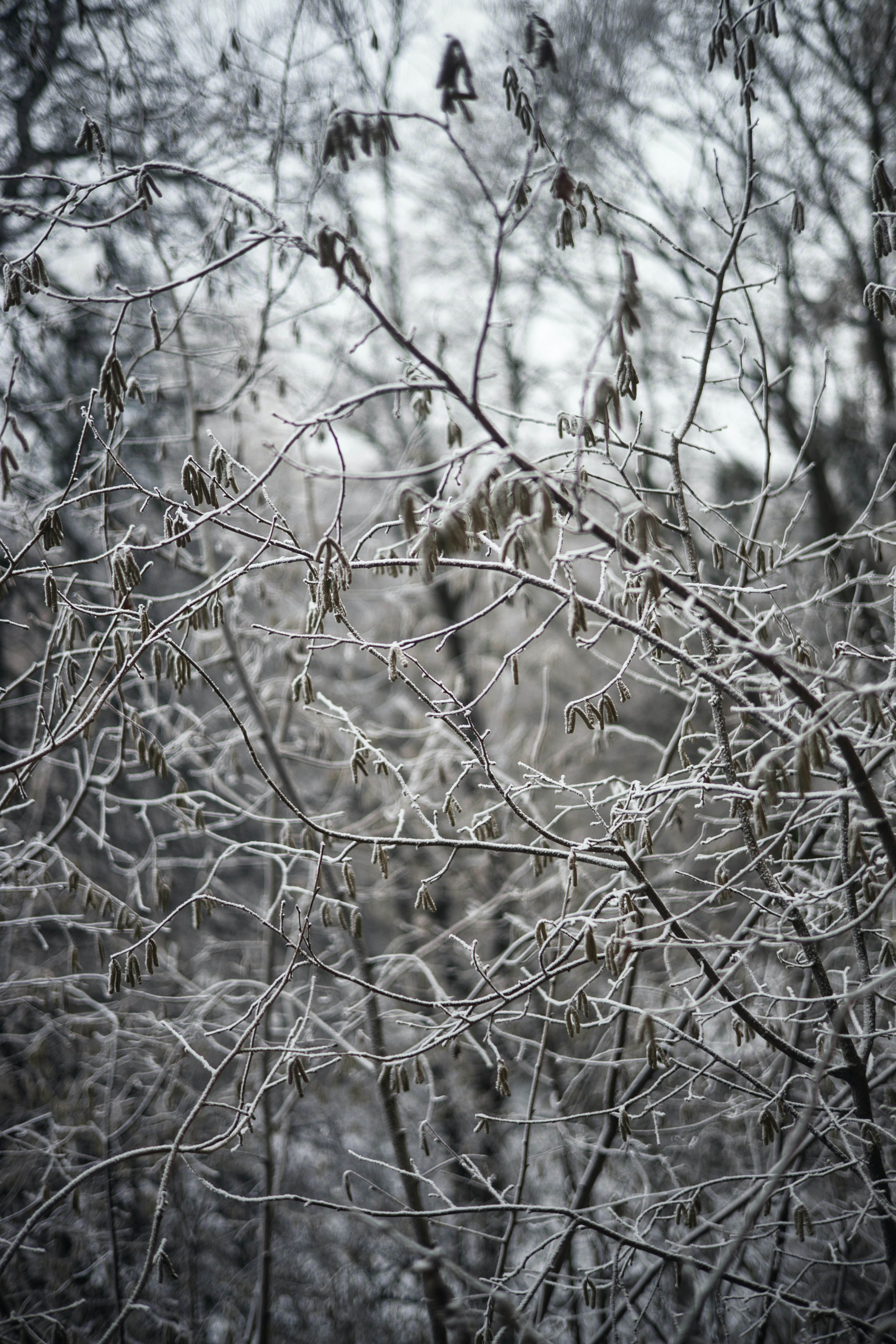 Photo by eugenechystiakov