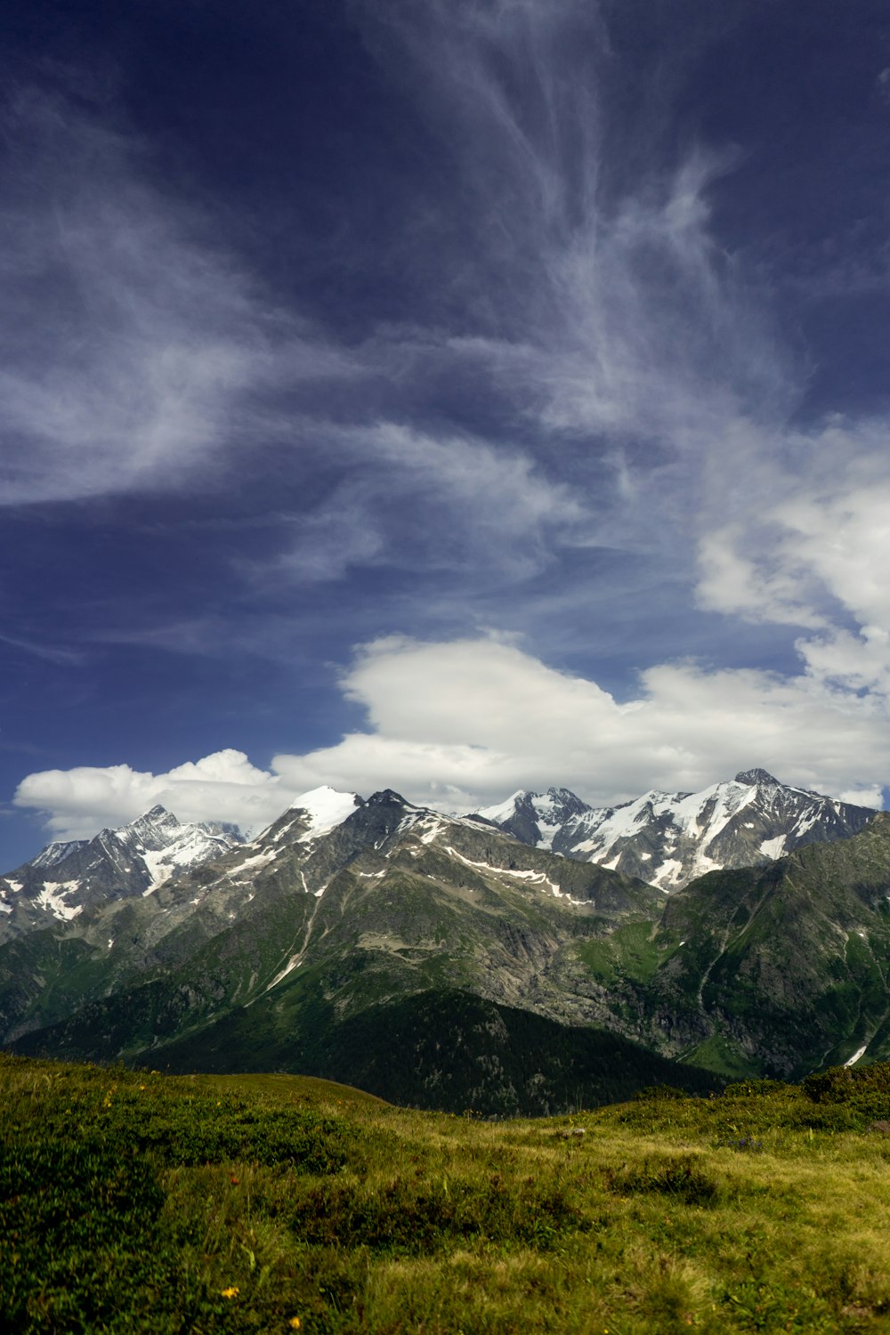 a grassy field with a mountain range in the background