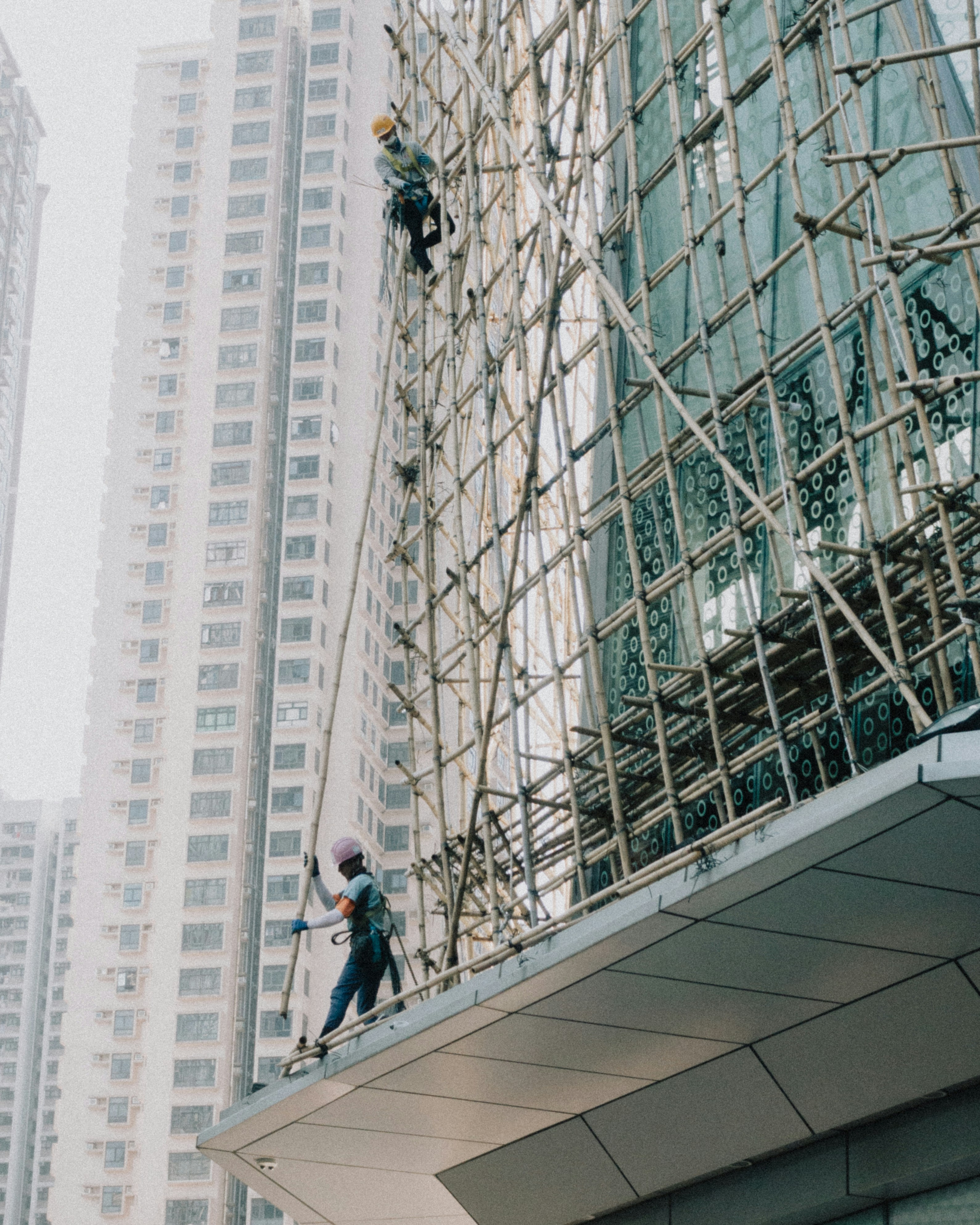 Photo by catgirlmutant