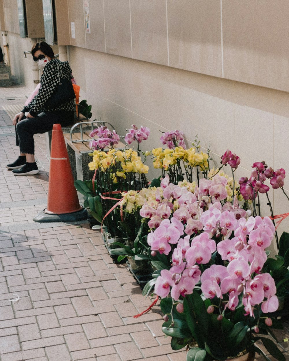 a woman sitting on a bench next to a row of flowers