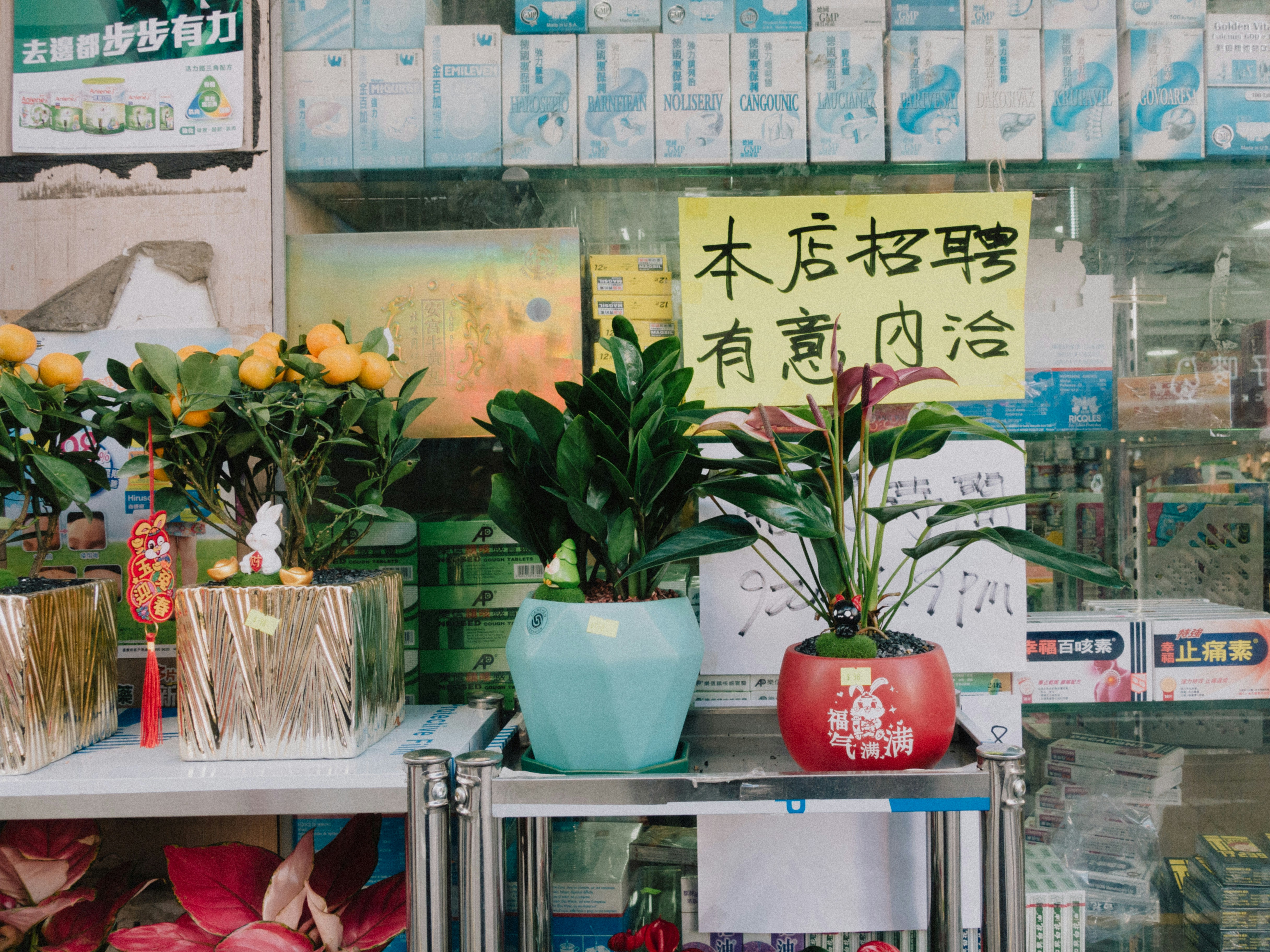 Photo by catgirlmutant