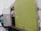 Image of a courier wearing gloves and a mask, carefully loading medical supplies into a van.