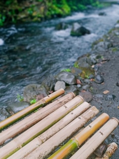 A close-up of bamboo sticks with a natural setting in the background, including a flowing river and rocks. The bamboo appears weathered, and the river's motion creates a dynamic contrast with the stillness of the bamboo.