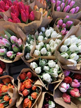 Seasonal special bouquet with bright tulips and carnations wrapped in eco-friendly paper.