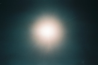 Website button with white background appearing on hover over a green background image.