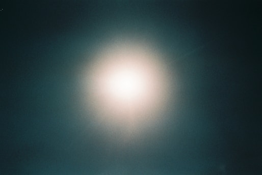 Website button with white background appearing on hover over a green background image.