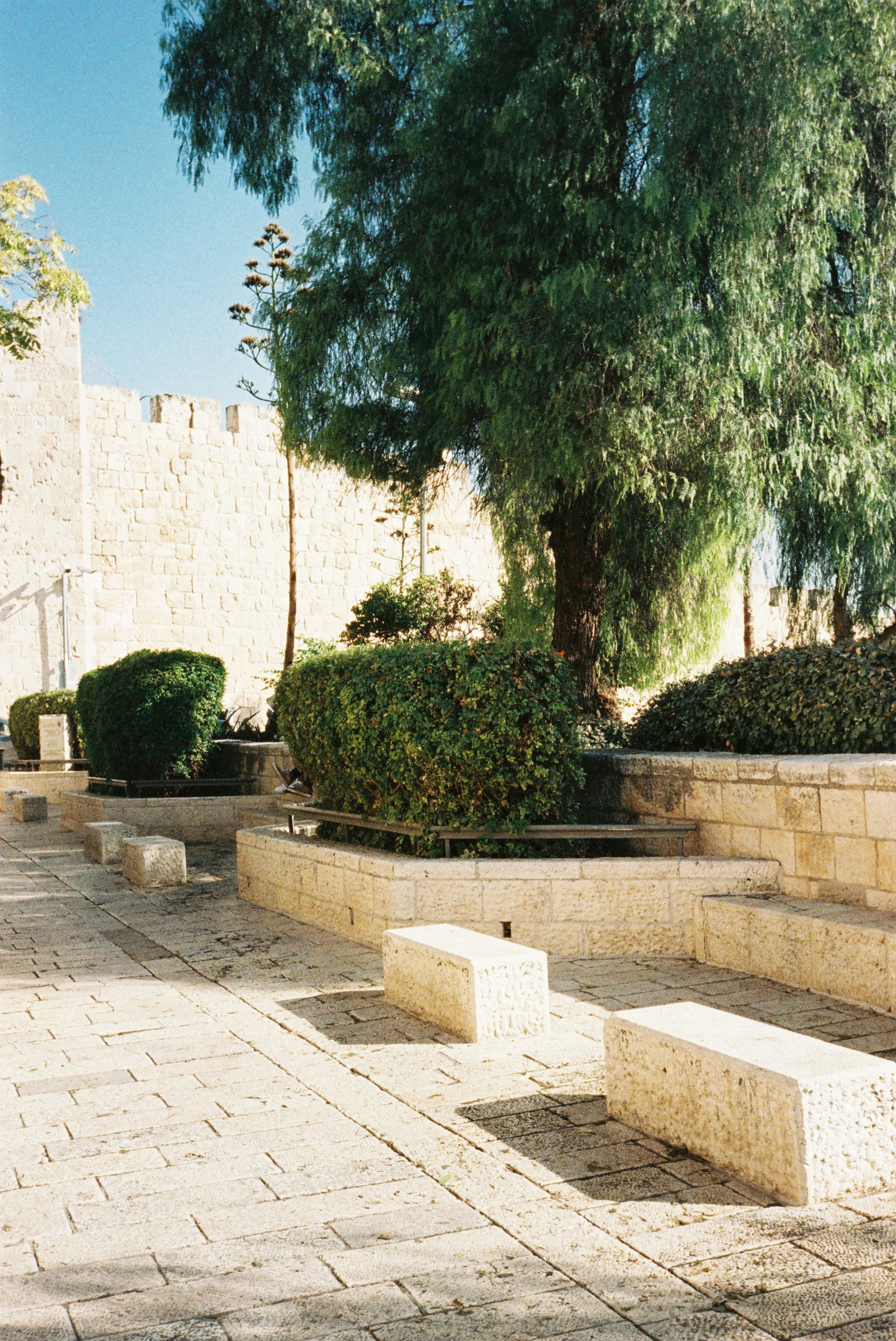 a couple of benches sitting on top of a stone walkway