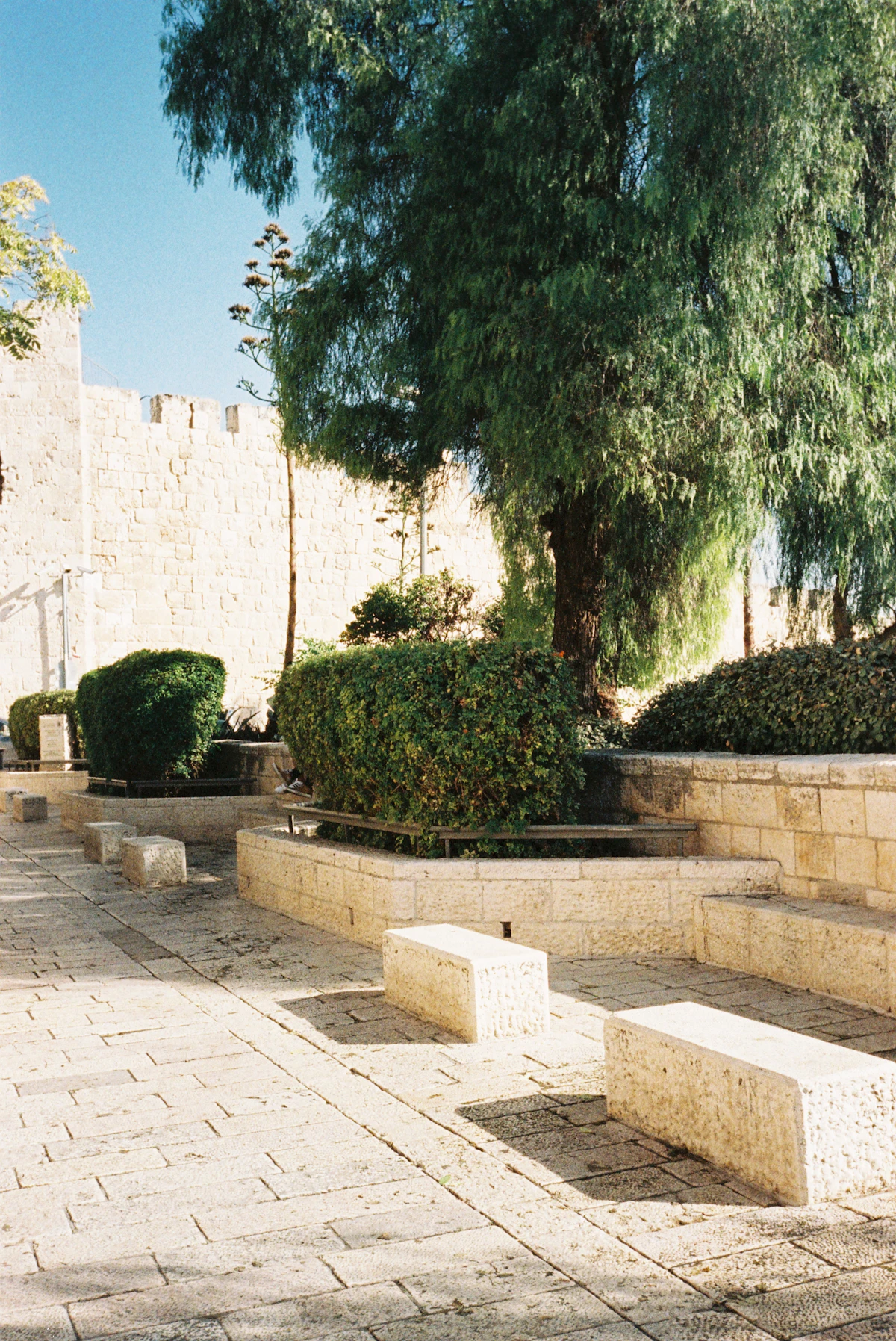 הלחם שסועד את הלב