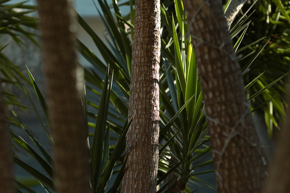 a bird is perched on a tree branch