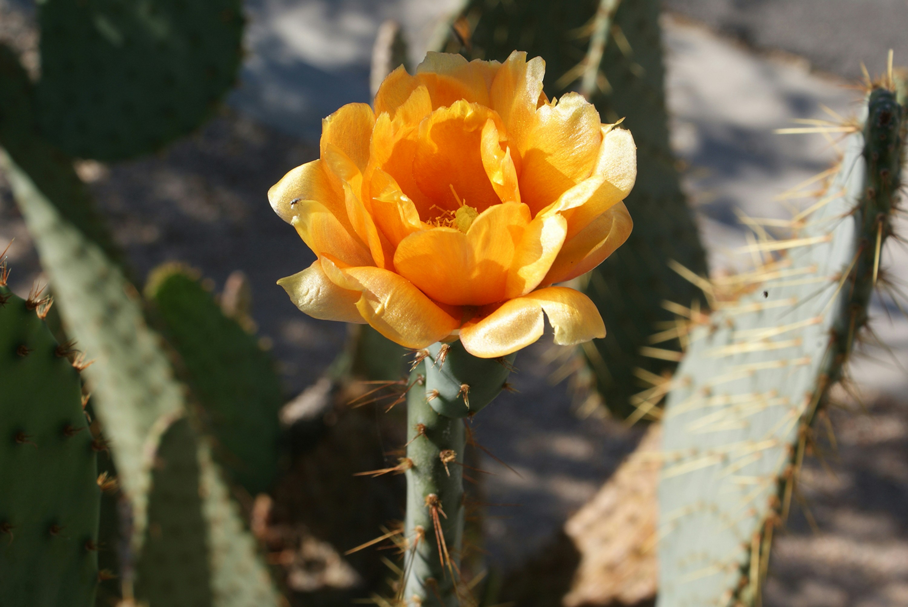 Photo by ricky_fresh