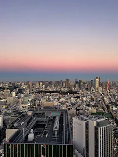 A futuristic cityscape with advanced technology and flying vehicles under a vibrant sunset.