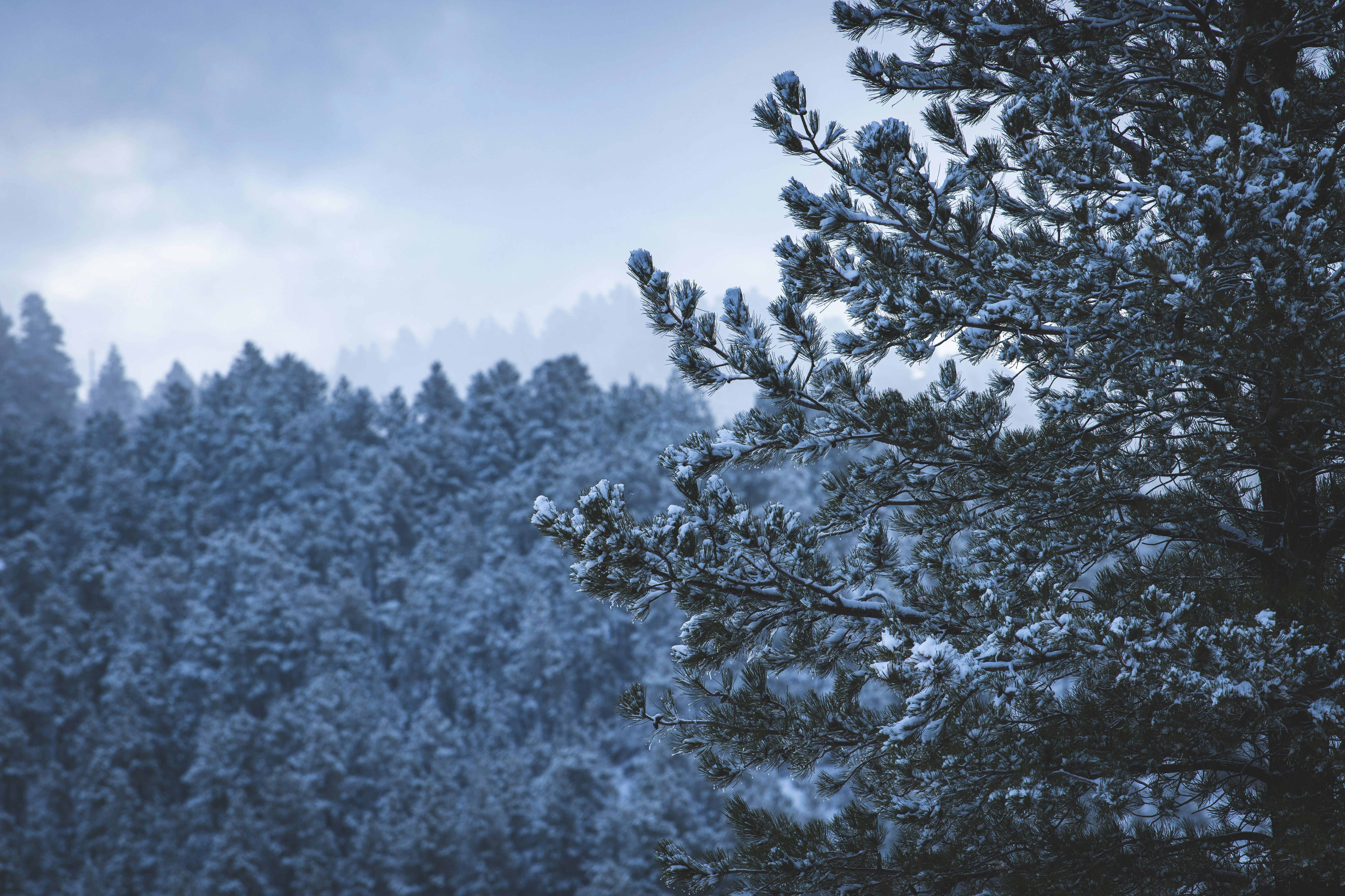 Fact brief: Did a SD city register the fastest temperature change in recorded history?