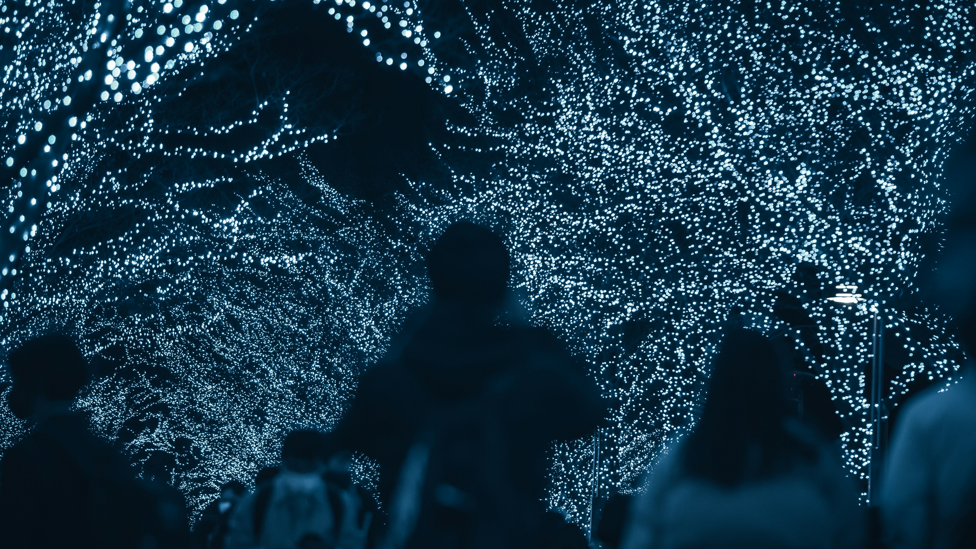 a group of people walking down a street covered in lights