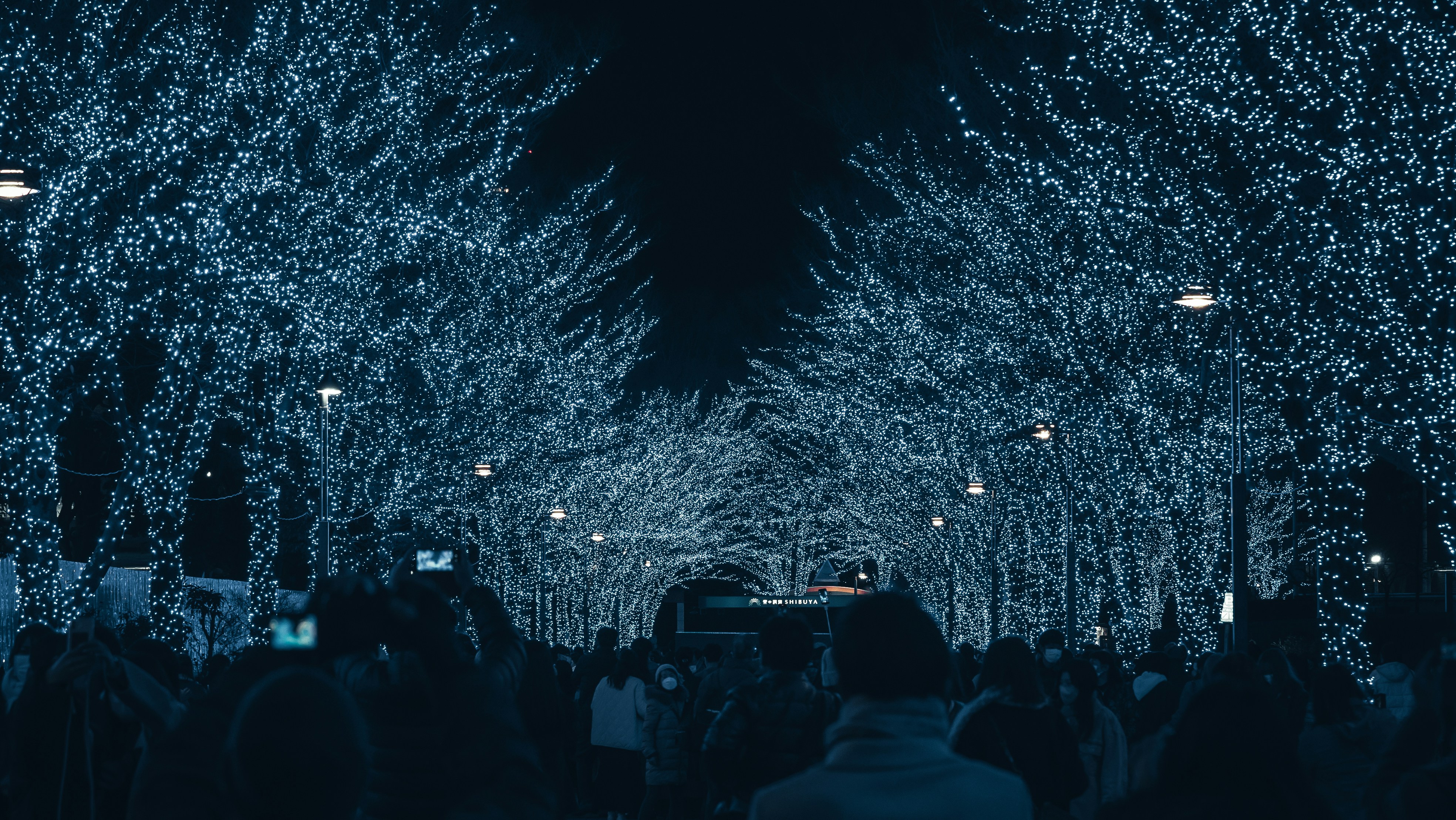 a crowd of people walking down a street covered in lights