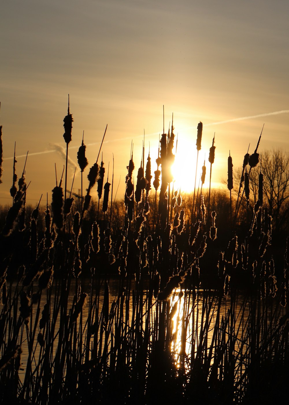 the sun is setting over a body of water