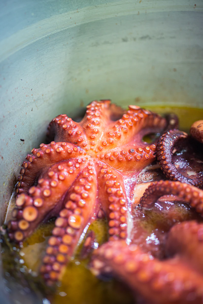Pulpo a la Gallega con Patata Cocida