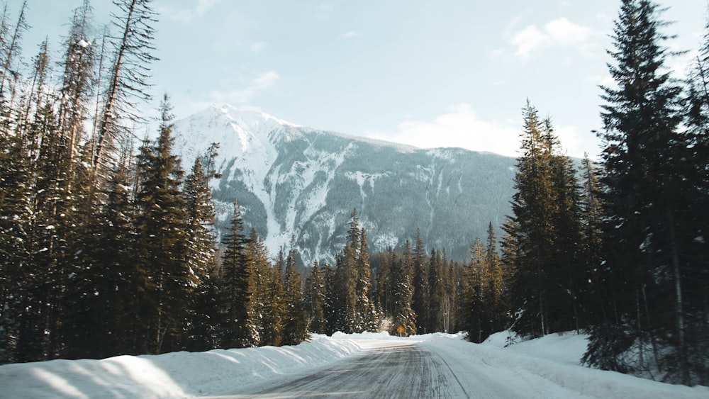 a snow covered road with a mountain in the background