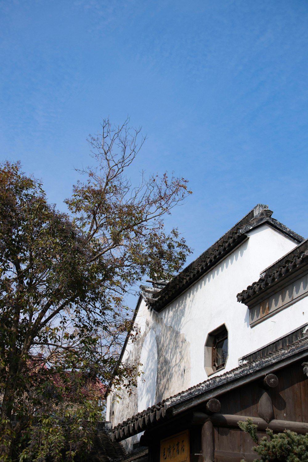 a white building with a tree in front of it