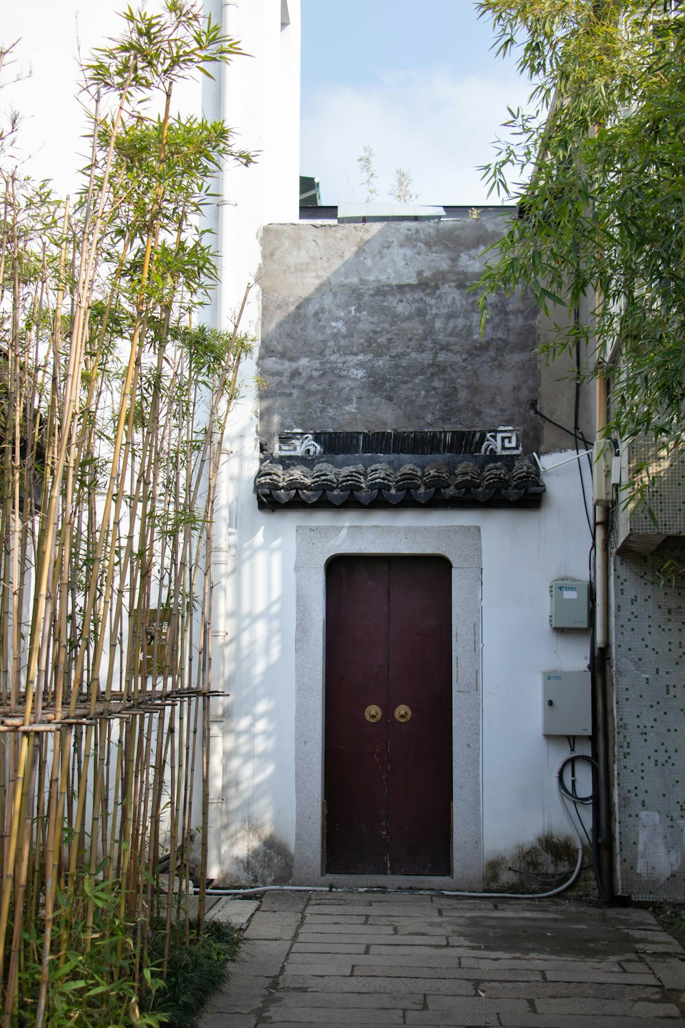 a house with a red door and a bamboo tree next to it