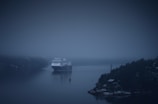 A large cruise ship navigates through a misty waterway surrounded by dark, forested cliffs. The scene is enveloped in fog, creating a mysterious and serene atmosphere.