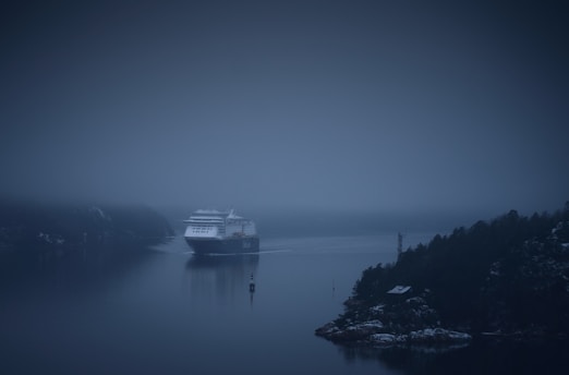 A large cruise ship navigates through a misty waterway surrounded by dark, forested cliffs. The scene is enveloped in fog, creating a mysterious and serene atmosphere.