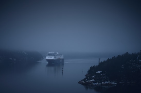 A large cruise ship navigates through a misty waterway surrounded by dark, forested cliffs. The scene is enveloped in fog, creating a mysterious and serene atmosphere.