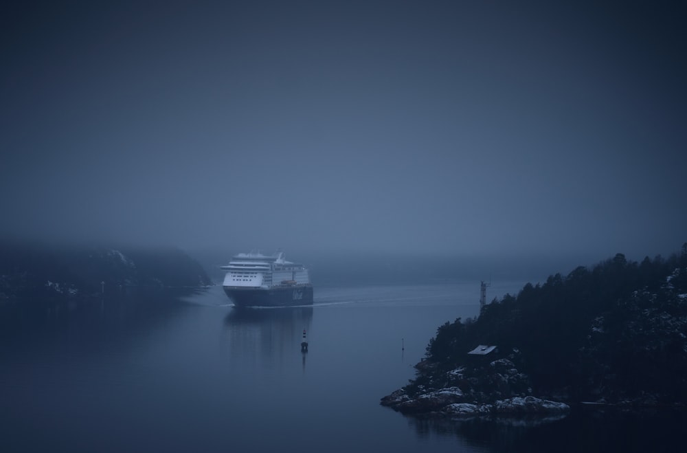 a cruise ship in the water on a foggy day