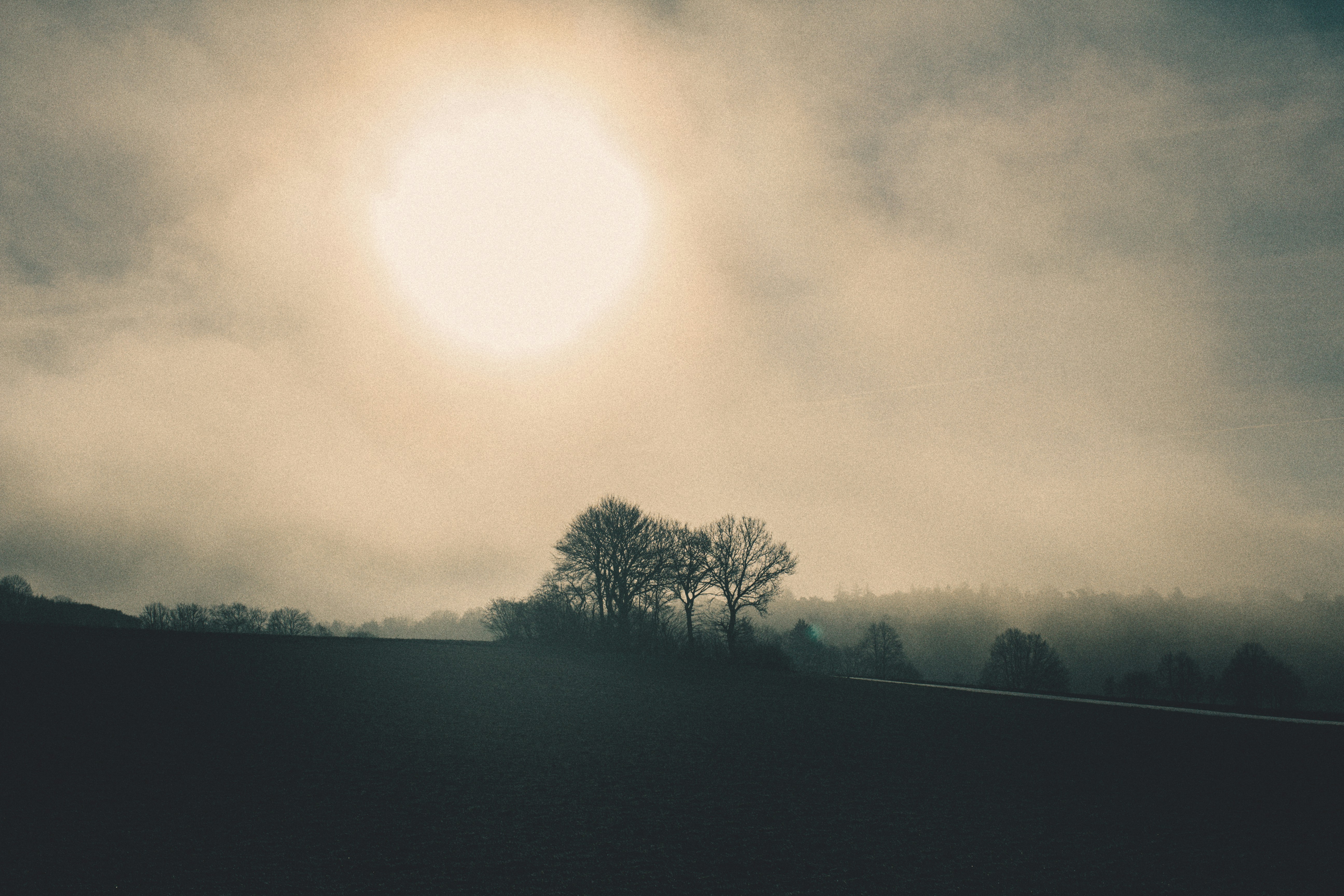 Photo by susahne_igelmund