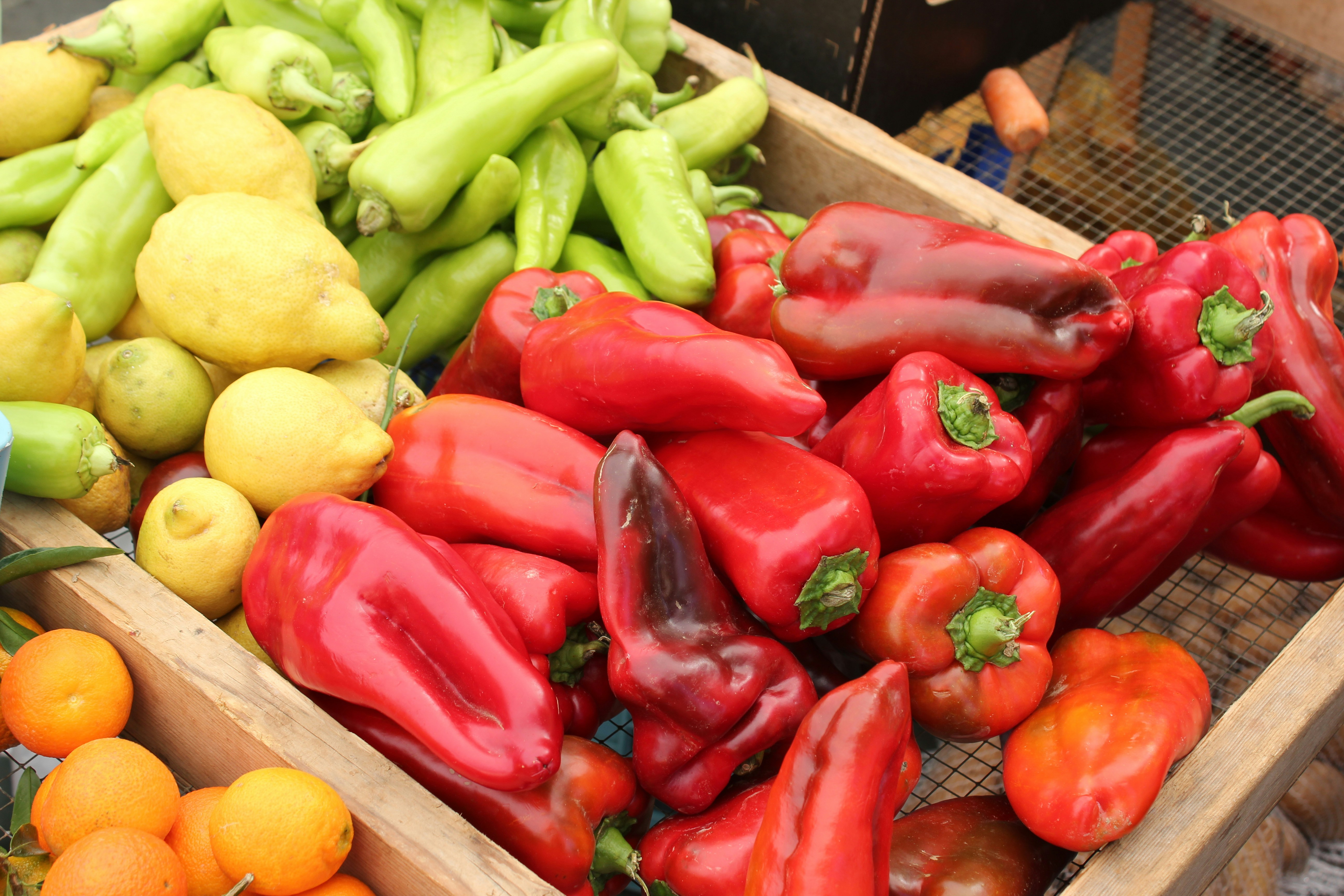 ירקות – מגוון מנות טעימות ובריאות לכל ארוחה