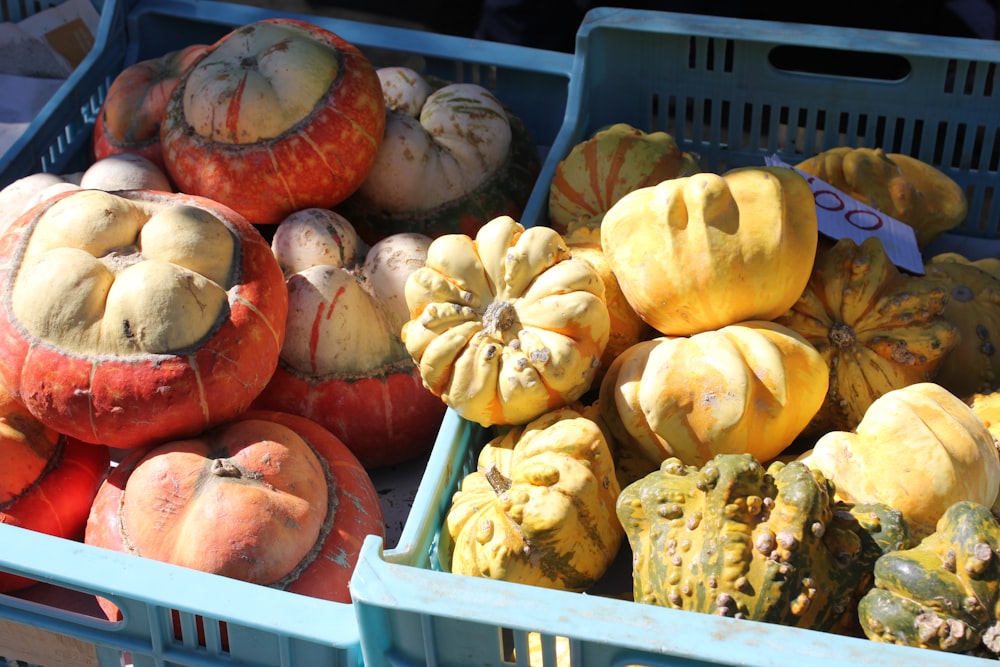 a pile of pumpkins sitting next to each other