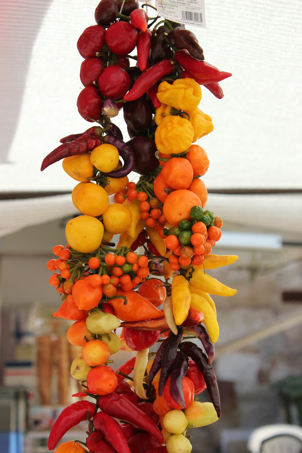 a bunch of different colored peppers hanging from a pole
