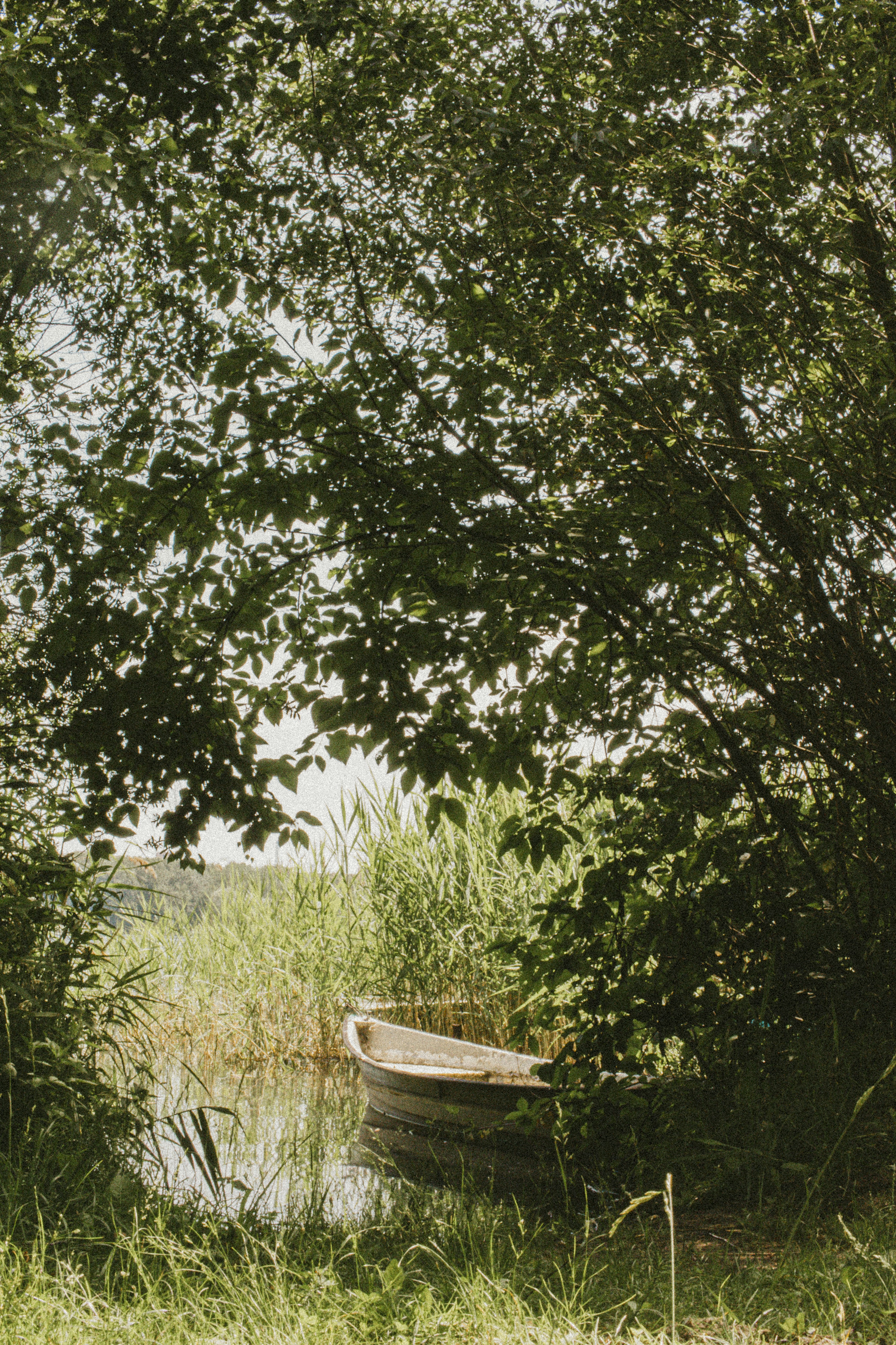 Photo by susahne_igelmund