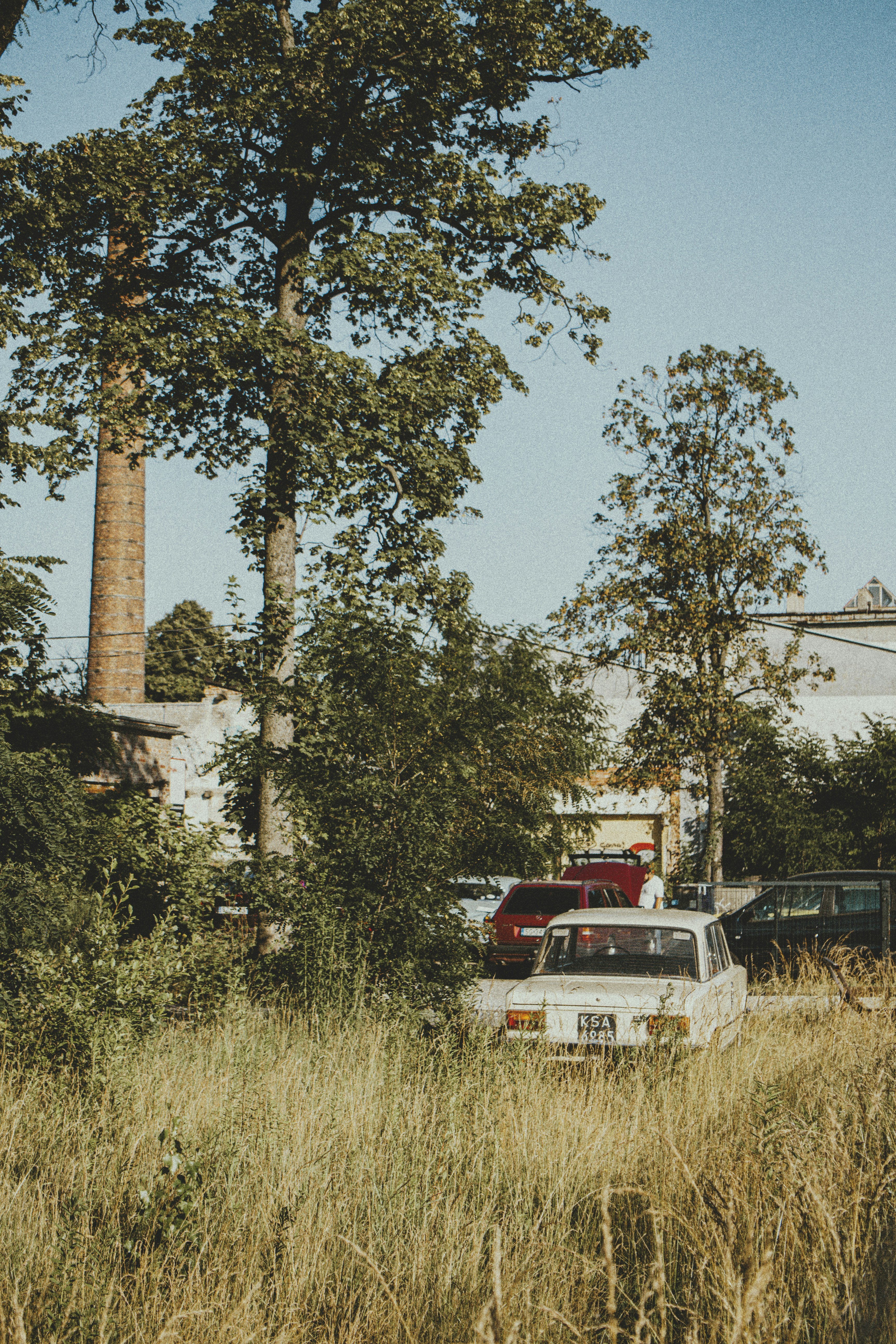 a car parked in a field of tall grass