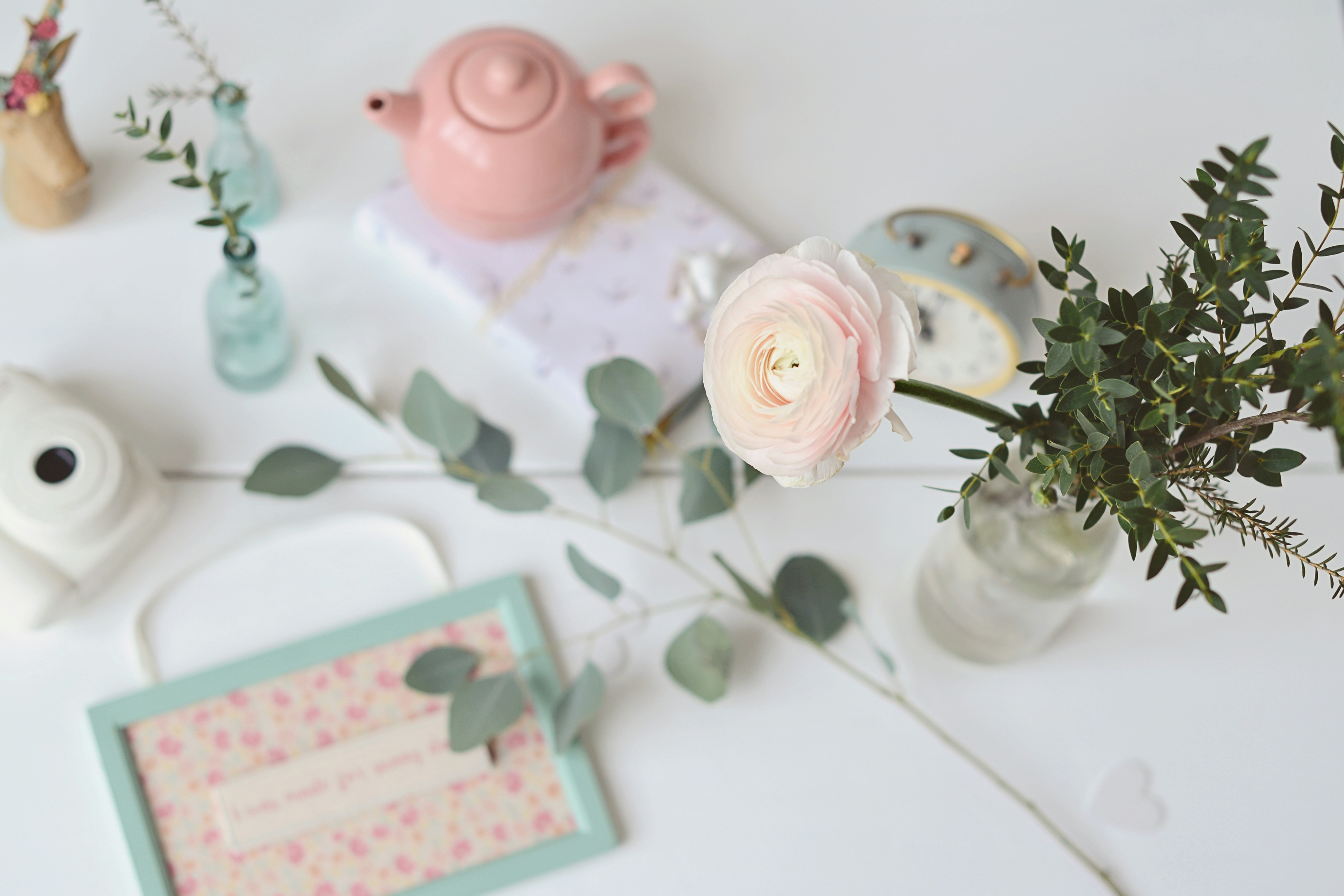 Photo by anitaaustvika