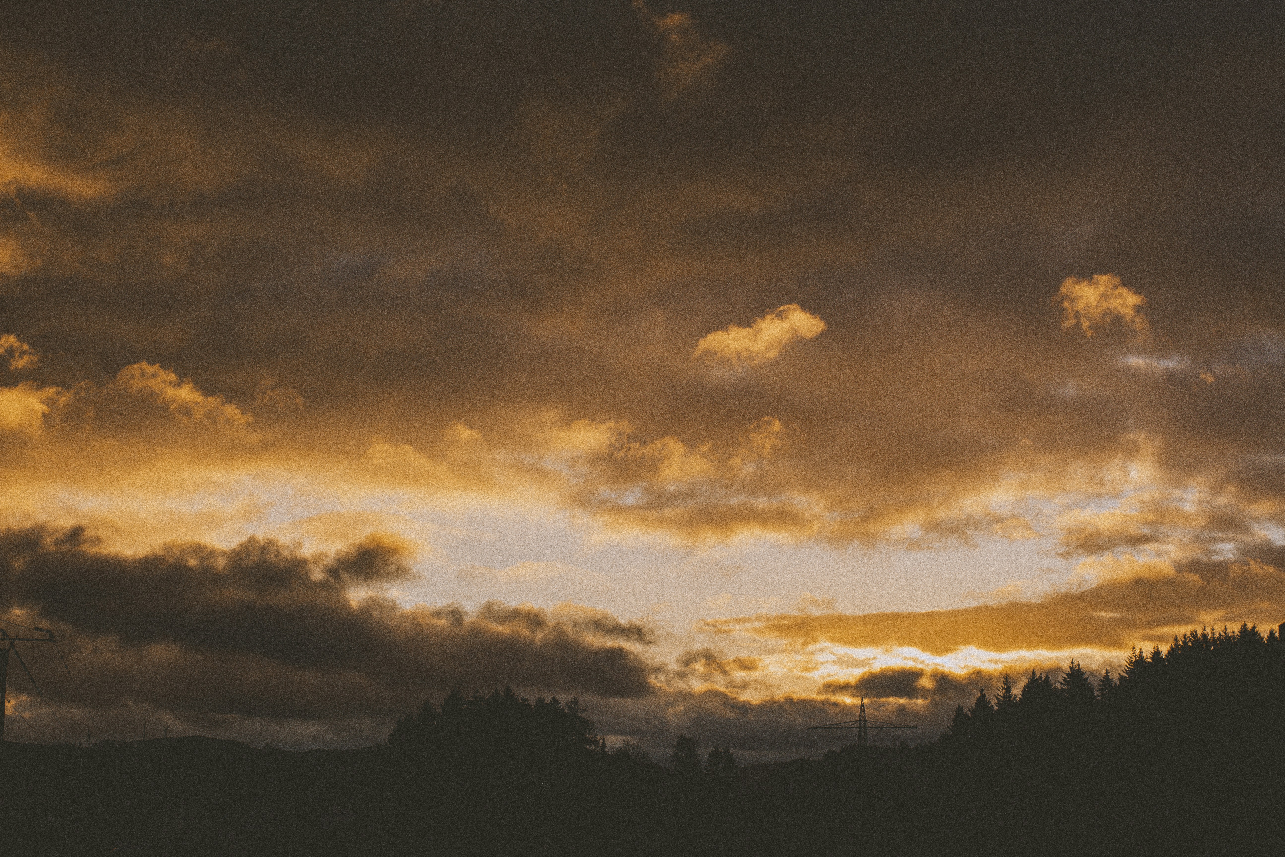 Photo by susahne_igelmund