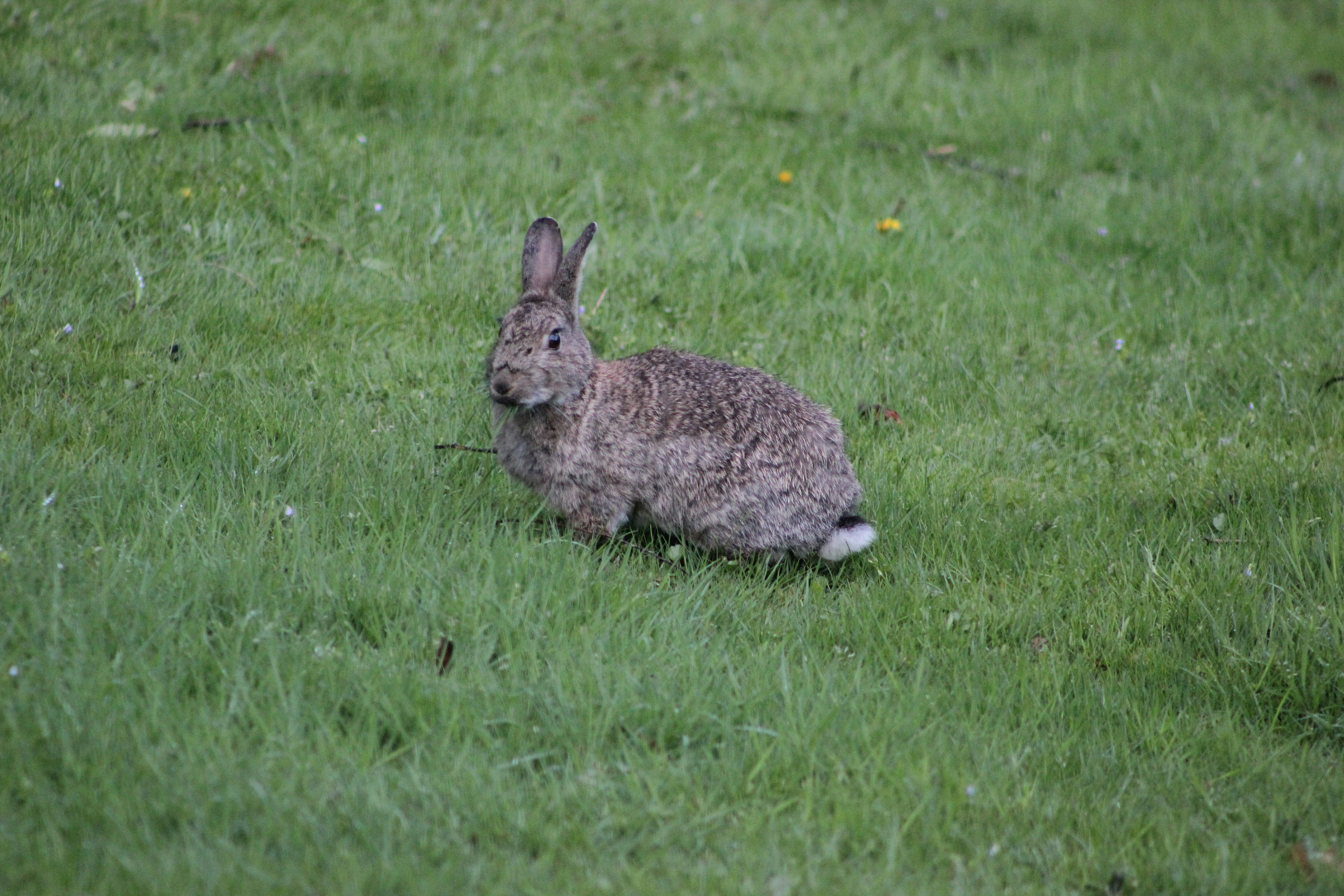 Photo by technomageindustries