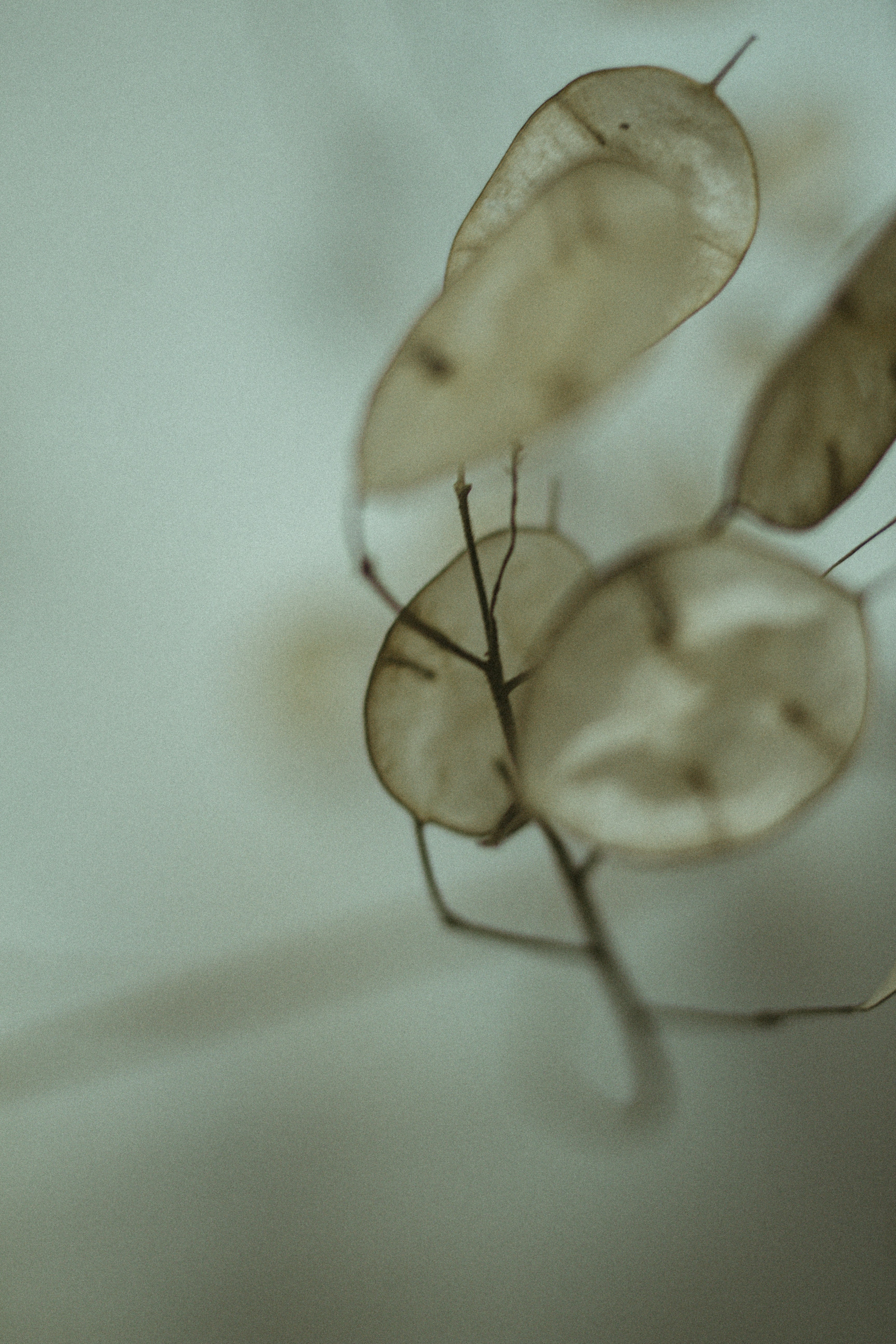 Photo by susahne_igelmund