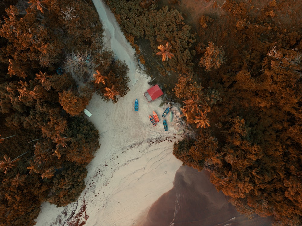 an aerial view of a beach and trees