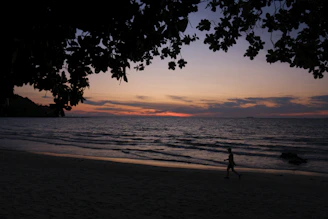 a person walking on a beach at sunset