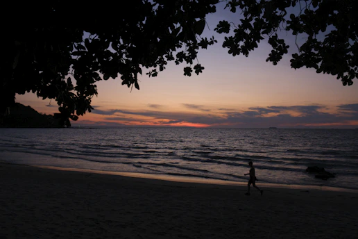 a person walking on a beach at sunset