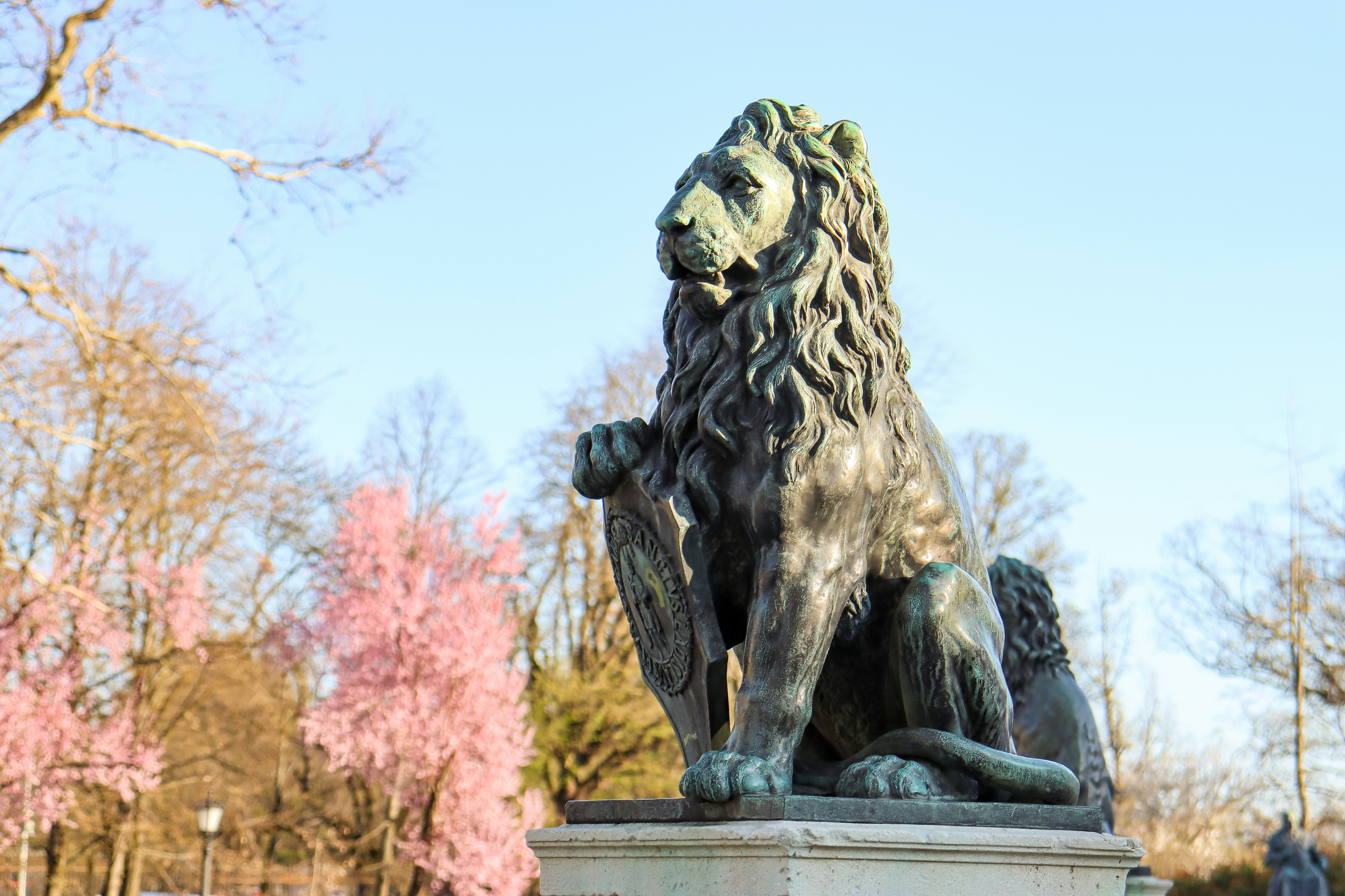 Lion John Weicht Park
