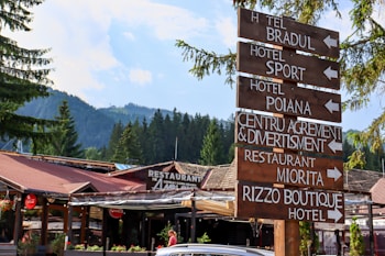 A wooden signpost with several directions labeled for hotels and restaurants in front of a rustic building. The background features a scenic view of pine trees and mountains under a blue sky.