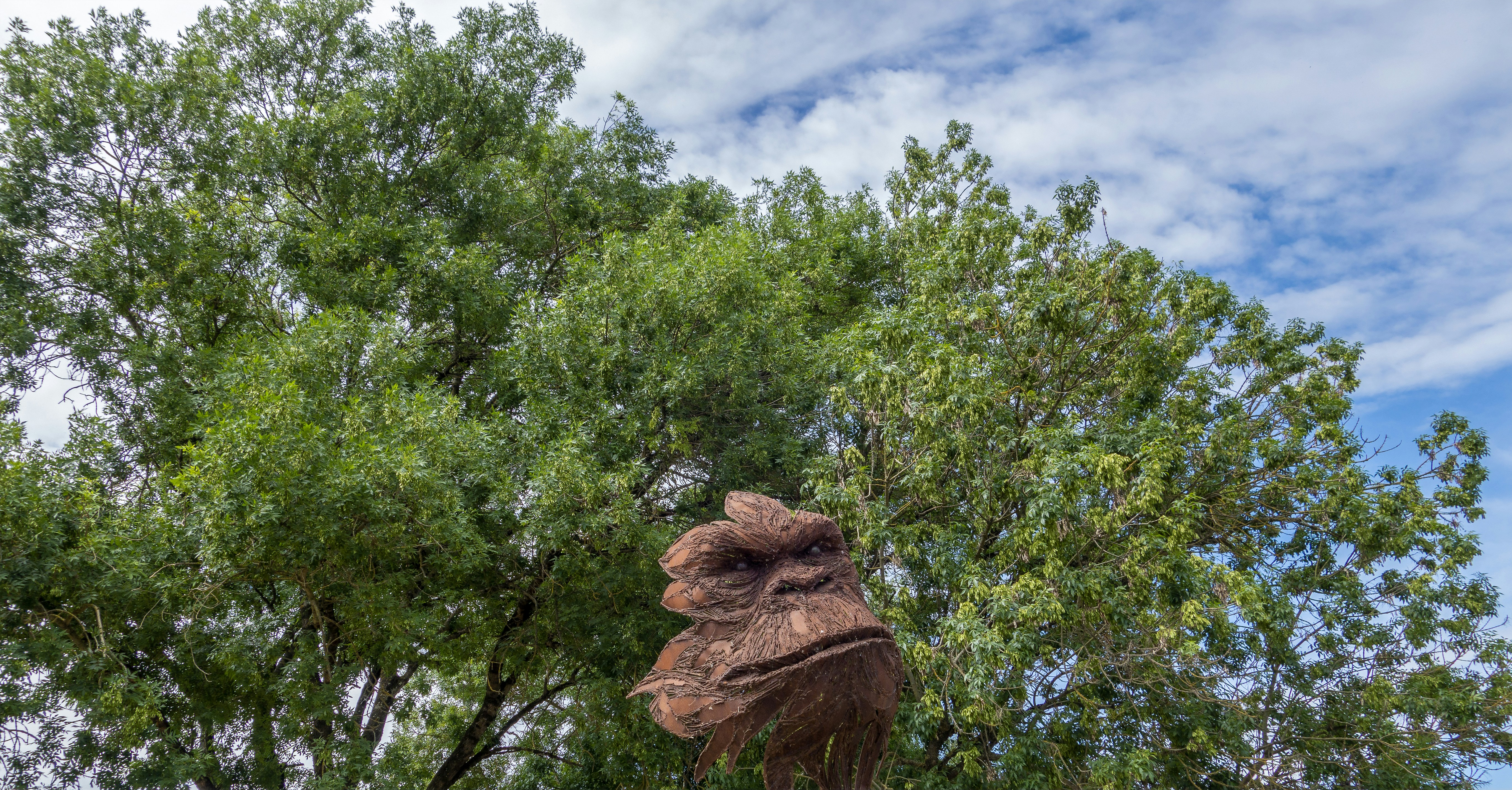 objectifs développement