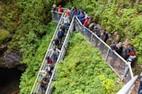 A group of people walks along a narrow metal walkway surrounded by lush green foliage. The path appears to be above a cave entrance with rocky walls, and the individuals are casually dressed, suggesting a hiking or nature trail setting. The dense greenery creates a vibrant natural atmosphere.
