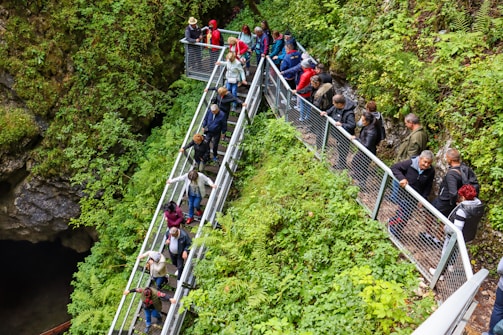 A group of people walks along a narrow metal walkway surrounded by lush green foliage. The path appears to be above a cave entrance with rocky walls, and the individuals are casually dressed, suggesting a hiking or nature trail setting. The dense greenery creates a vibrant natural atmosphere.